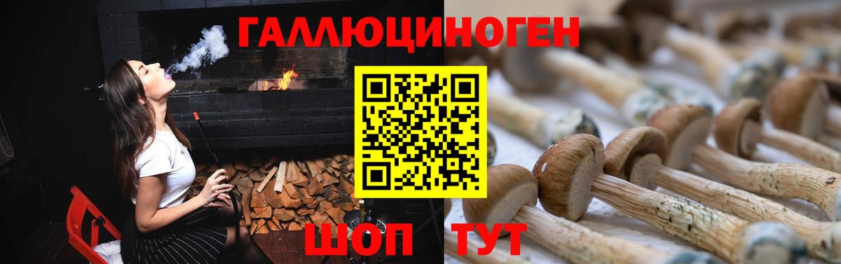 Псилоцибиновые грибы Psilocybine cubensis  цены наркотик  Серов  Вход с VPN 